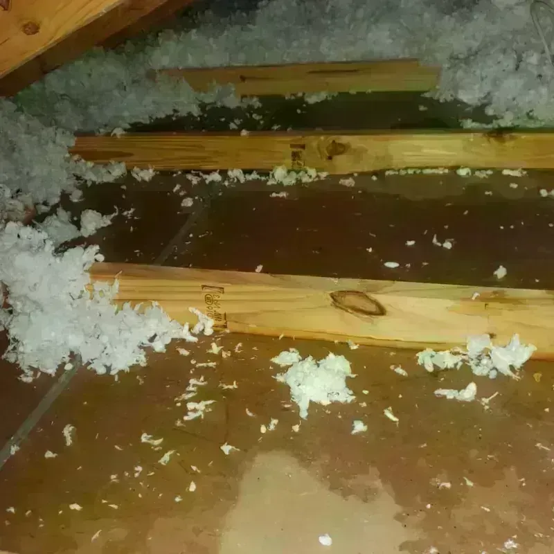 Attic Water Damage in Troy, NH